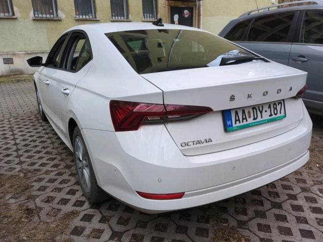 ha_22810646_3.jpg